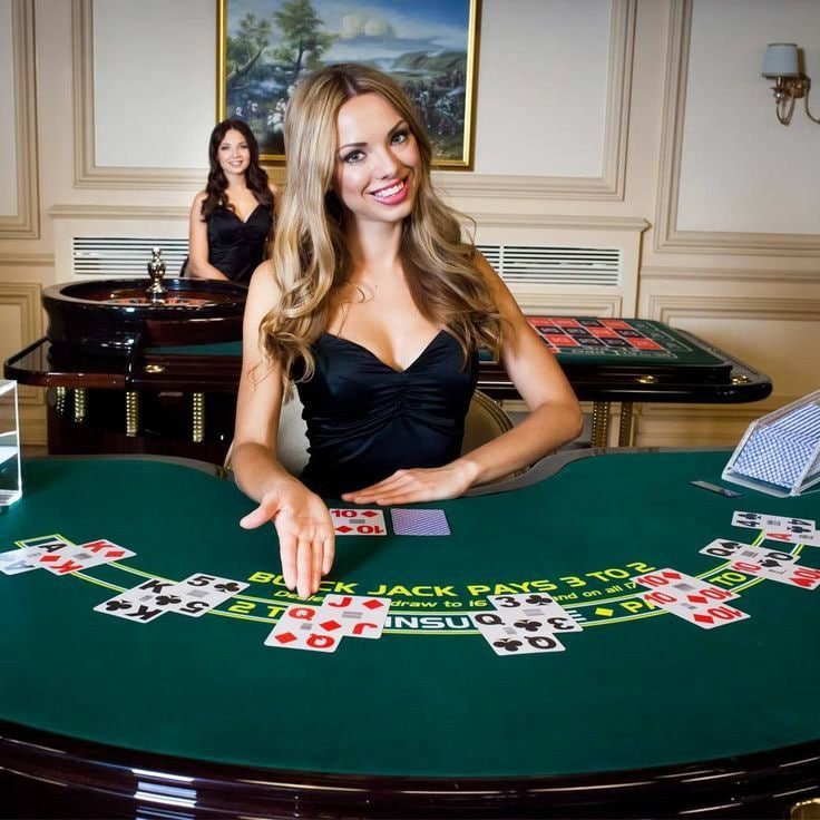 t11 com bet